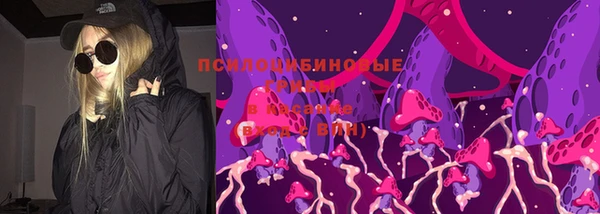 круглые Алексеевка