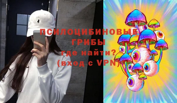 герыч Алексин