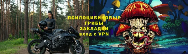 тгк Алзамай