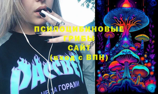 тгк Алзамай
