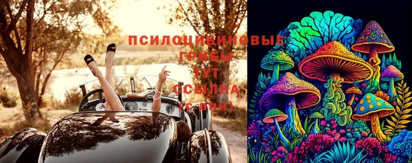 круглые Алексеевка